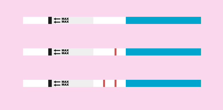 test ovulation poitif negatif resultat 